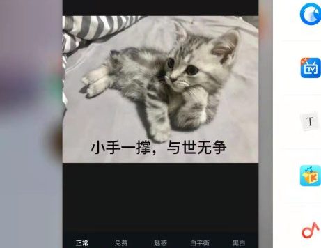 Adobe Photoshop Express v9.4.77 解锁版 (安卓PS高级图片处理软件)